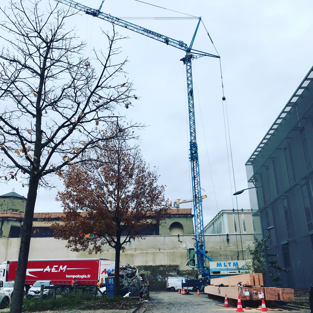 Levage d'un brise vue en bois lamellé-collé douglas