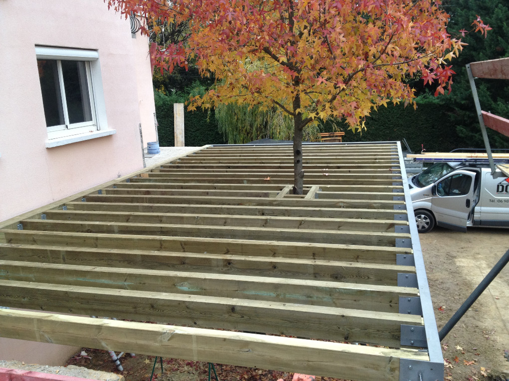 Terrasse en ipé sur pilotis autour d'un arbre et garde corps en verre